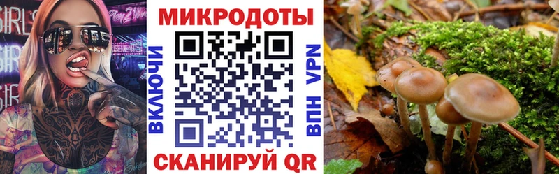 Псилоцибиновые грибы Psilocybe  Купить  Мезень 