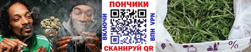 Конопля Amnesia  Купить где  Мезень 